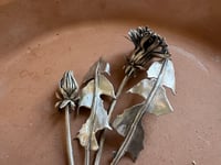 Image 4 of Dandelion Season