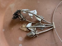 Image 10 of Dandelion Season