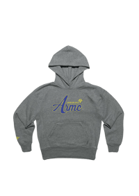 Image 1 of GREY HOODIE VSTY BLEU/JAUNE
