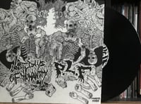 Last Days of Humanity / PLF - Split 12"