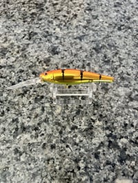 Hot Tiger 7