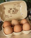 Ducky Egg Box