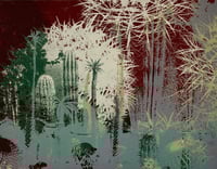 Image 2 of Petros Cactus Garden | series of 15. No 15/15