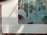 Image 3 of Petros Cactus Garden | series of 15. No 15/15