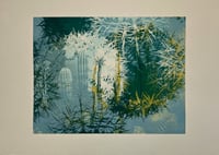 Image 1 of Petros Cactus Garden | series of 15. No 5/15
