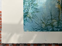 Image 3 of Petros Cactus Garden | series of 15. No 5/15