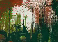 Image 2 of Petros Cactus Garden | series of 15. No 9/15