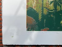 Image 3 of Petros Cactus Garden | series of 15. No 9/15