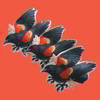 Image 1 of (discounted) red-winged blackbird sticker