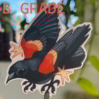 Image 2 of (discounted) red-winged blackbird sticker