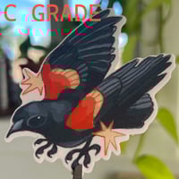 Image 3 of (discounted) red-winged blackbird sticker