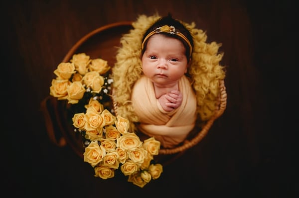 Image of Newborn mini session 