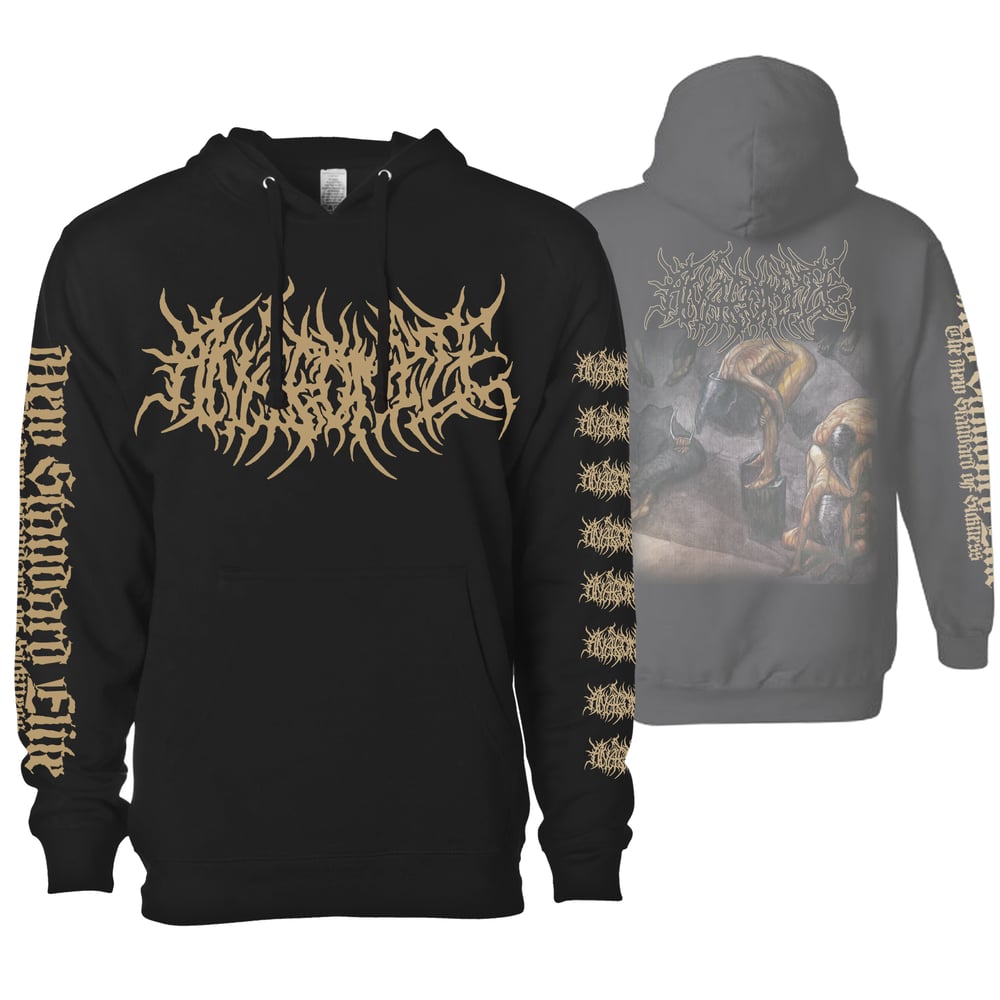 Image of ANATOMIZE "SYSTEMATIC TORTURE" HOODIE