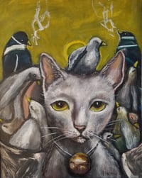 Image 2 of "Belle, the cat"
