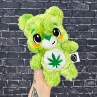 BITTY- Canna Bear #83
