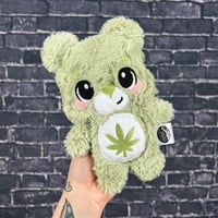 BITTY- Canna Bear #86