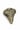 Golden Shark Tooth Pendant  