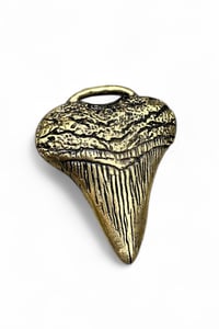 Image 1 of Golden Shark Tooth Pendant  