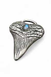 Image 2 of Silver Shark Tooth Pendant - Labradorite
