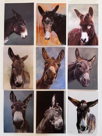 Donkey Nifty Nine Card Pack