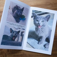 Image 2 of Lies I've told my cat