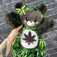 OG- Canna Bear #91