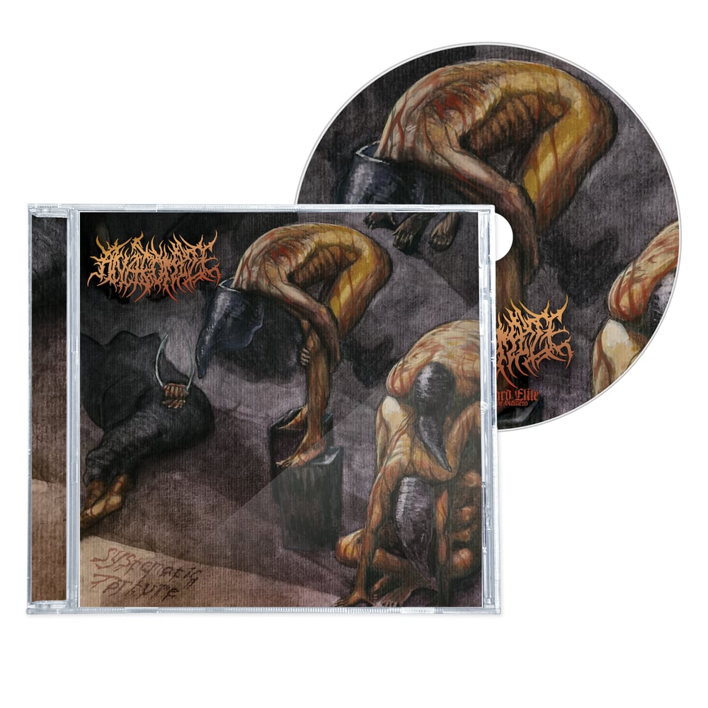 Image of ANATOMIZE "SYSTEMATIC TORTURE" CD