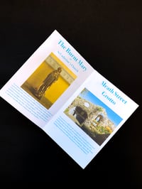 Image 5 of The Marian Tour