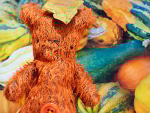 Image of Gourd