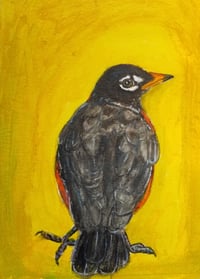 Image 2 of "Robin"