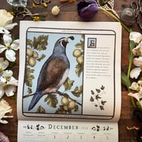 Image 7 of Woodland Wardens 2026 Wall Calendar