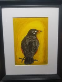 Image 3 of "Robin"