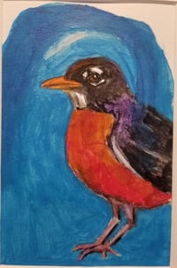 Image 1 of "Spring Robin"