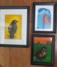 Image 3 of "Spring Robin"