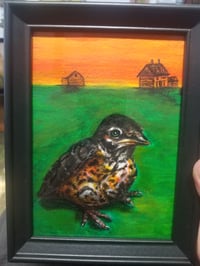 Image 1 of "Baby robin's World"