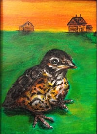 Image 2 of "Baby robin's World"
