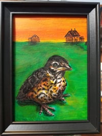 Image 3 of "Baby robin's World"