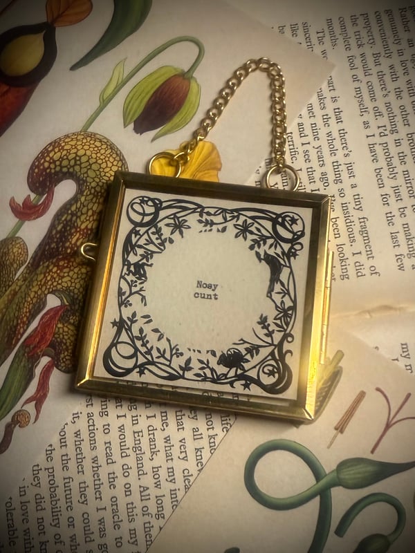 Image of Nosy C**t Typographic Frame