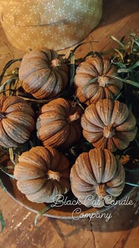 Beeswax Pumpkins