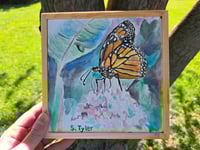 Image 4 of "Monarch on Milkweed" Originial Watercolor Painting by Sandy Tyler 