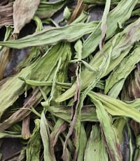 Image 3 of Narrowleaf Plantain (Dried)