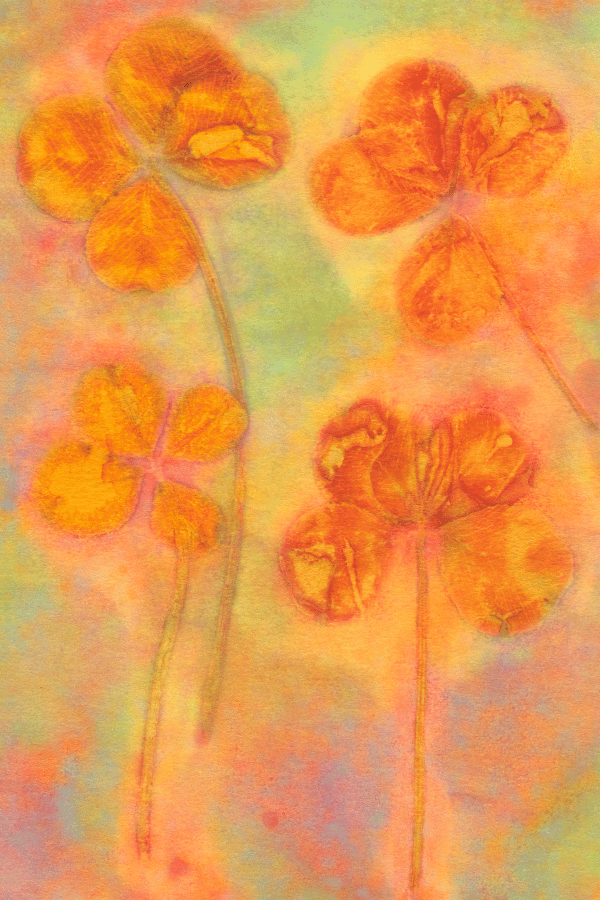 Image of "Quad Clover" - 4"x6" Print