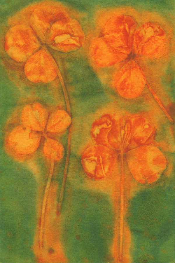 Image of "Quad Clover" - 4"x6" Print