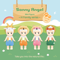 H Family Series 