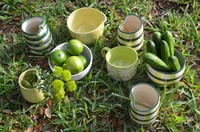 Image 2 of Build-a-Bundle in Snap Pea