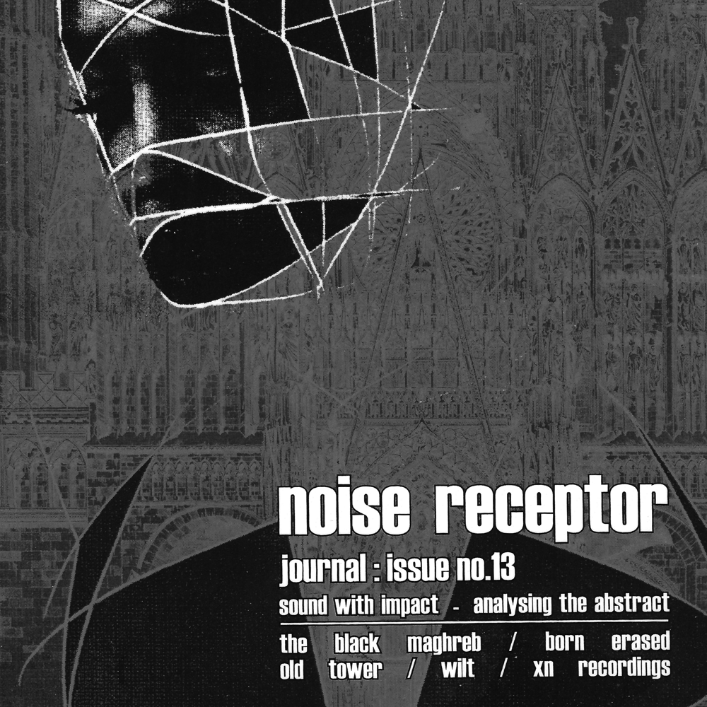 Image of Noise Receptor Journal #13