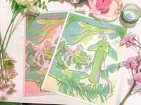 Image 1 of The Moth Tarot Card Riso Print