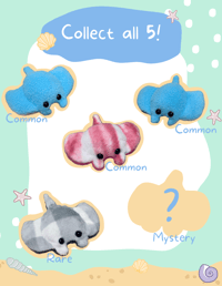 Sting Ray Blind Box