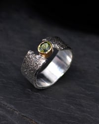 Image 2 of FISSURE RINGS - 8 & 8 3/4