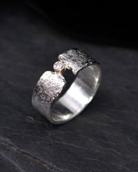 Image 3 of FISSURE RINGS - 8 & 8 3/4